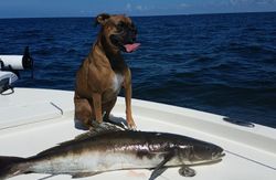 Set sail with Reel Good Times in Florida!