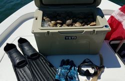 Explore Florida's waters with Reel Good Times!