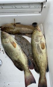 Two fishermen enjoying a perfect day of fishing in Hudson