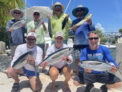 6 blackfin tuna, large fish caught in Marathon, Florida