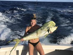 One fisherman landing a 43-inch catch in FL