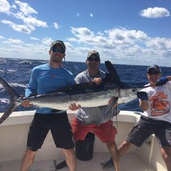 Blue Marlin fishing in FL