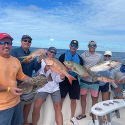 Catch of the day: 5 Black Grouper and Mutton Snapper fish in Florida