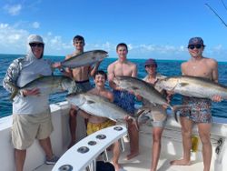 5 greater amberjack fish caught during fishing in Marathon