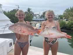 Two mutton snappers, a great fishing catch in FL