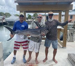 A swordfish caught during a fishing trip in Marathon