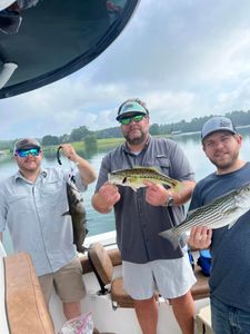 Three striped bass, largemouth bass, and channel catfish caught while fishing in Cumming