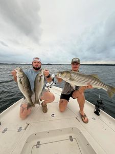 Two anglers holding striped bass catch in Cumming