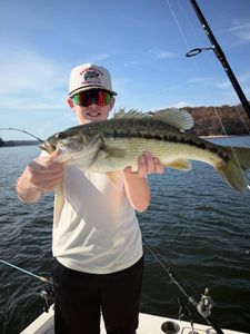Guadalupe Bass caught in Cumming, Georgia