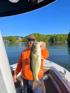 Largemouth Bass, 27 inches, caught while fishing in Cumming