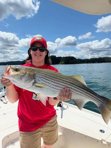 Striped bass caught while fishing in GA