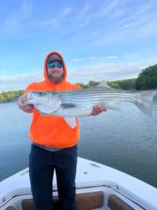Striped bass caught by two people in Cumming