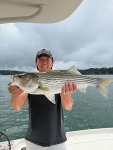 Striped bass caught while fishing in Cumming