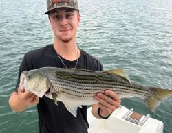 Striped bass caught while fishing in Cumming