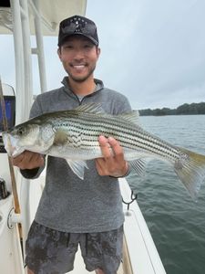 Striped bass caught while fishing in Cumming