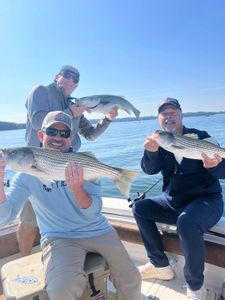 Three striped bass caught during a fishing trip in Cumming