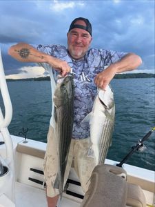 Striped bass caught while fishing in Cumming