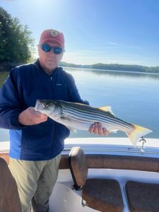 Striped bass fishing in Cumming