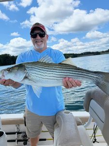Striped bass caught while fishing in Cumming