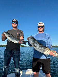 Two striped bass caught while fishing in GA