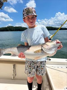 Striped bass fishing in GA