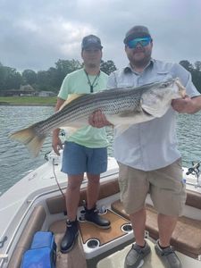 Striped bass caught in GA fishing