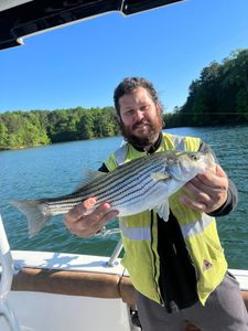 Striped bass caught in GA