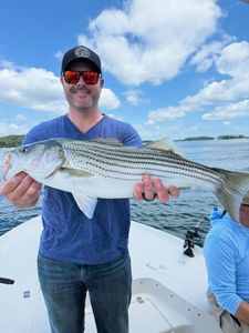 Striped bass caught while fishing in GA