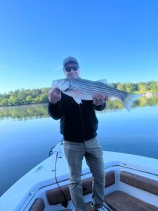 Lanier's Striper Spectacle: Cast and Conquer!