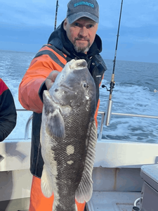 Big catch of the day in Carteret