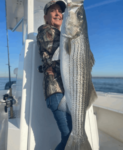 Cape Cod Massive Stripers