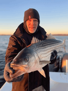 Striped bass caught in Carteret