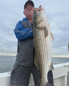 Striped bass caught in Carteret