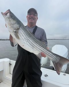 Striped bass caught fishing in Carteret