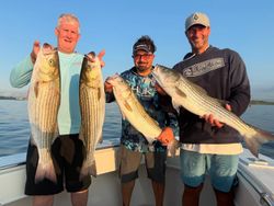 4 striped bass caught while fishing in Carteret