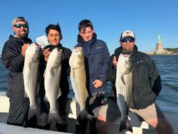 Four striped bass caught by four anglers in Carteret