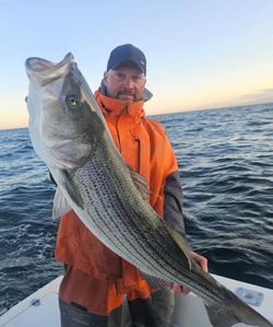 Striped bass caught in NJ
