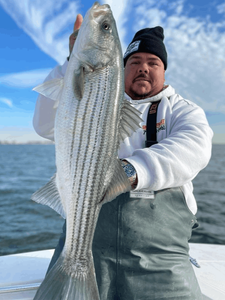 Striped bass fishing in Carteret