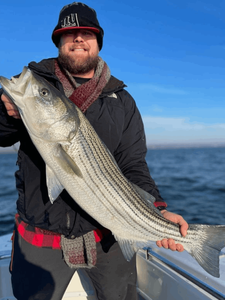Striped bass caught fishing in NJ