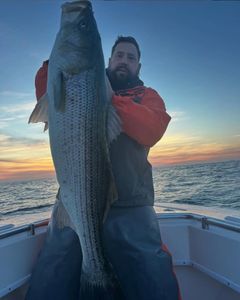 Striped bass caught while fishing in NJ