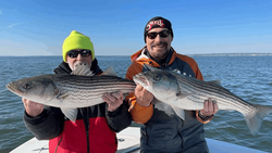 Two striped bass, 24 inches each, caught while fishing in NJ