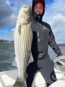 Striped bass caught fishing in New Jersey