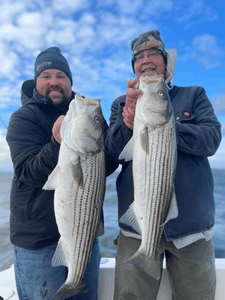 Two striped bass caught in NJ