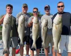 Striped Bass, Cape Cod 2022