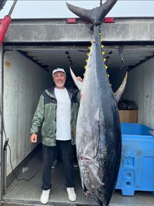 A Wicked Giant Cape Cod Bluefin Tuna