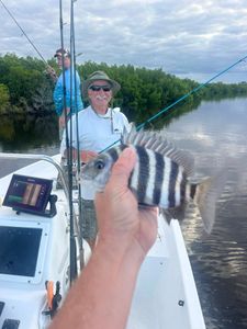 1 sheepshead fish caught while fishing in FL