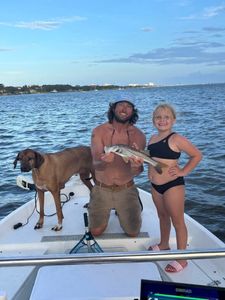 A snook fish caught during a fishing trip in FL