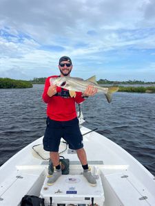Snook fish caught while fishing in FL