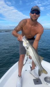 Snook fish caught fishing in New Smyrna Beach