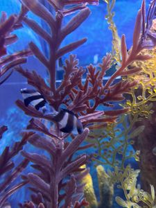 Outdoor adventure in South Carolina